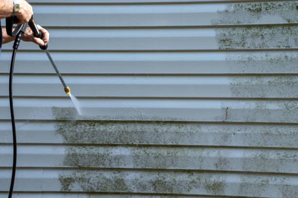 Best Storm Damage Siding Repair  in Somerton, AZ