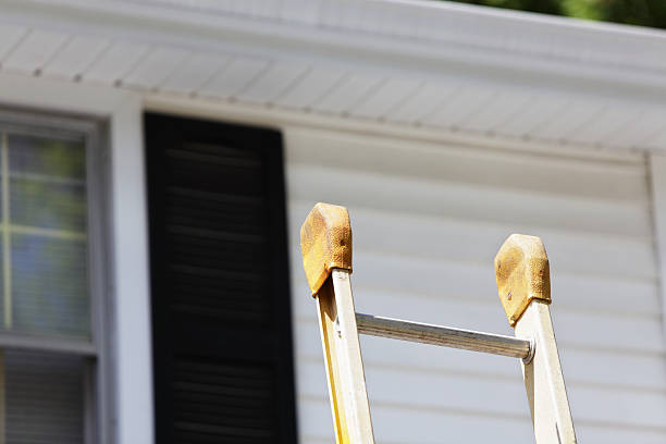 Best Vinyl Siding Installation  in Somerton, AZ