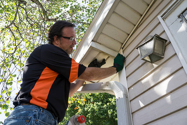 Best Brick Veneer Siding  in Somerton, AZ